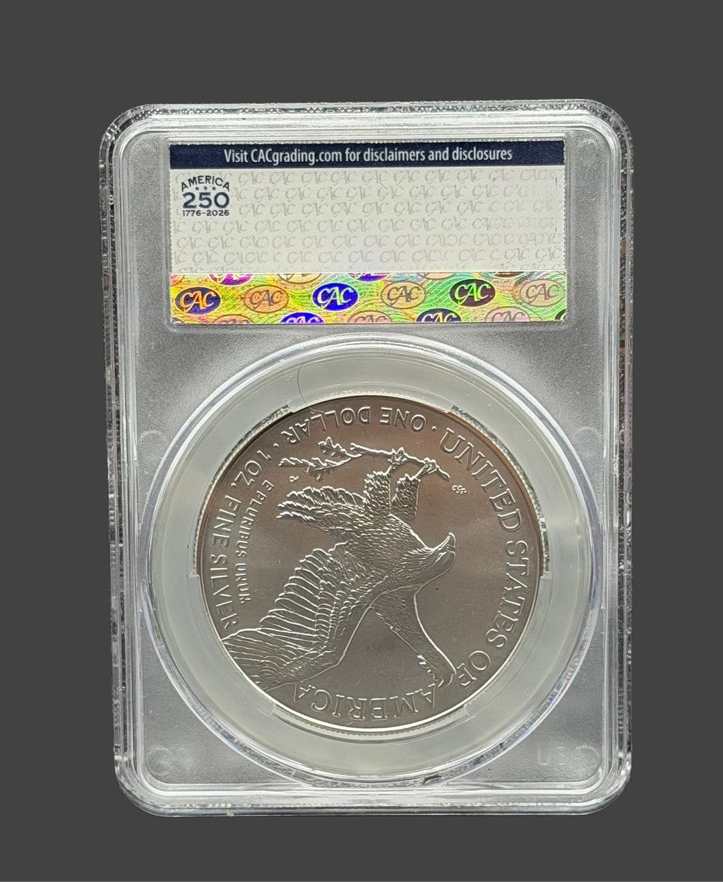 CAC MS70 Silver Eagle