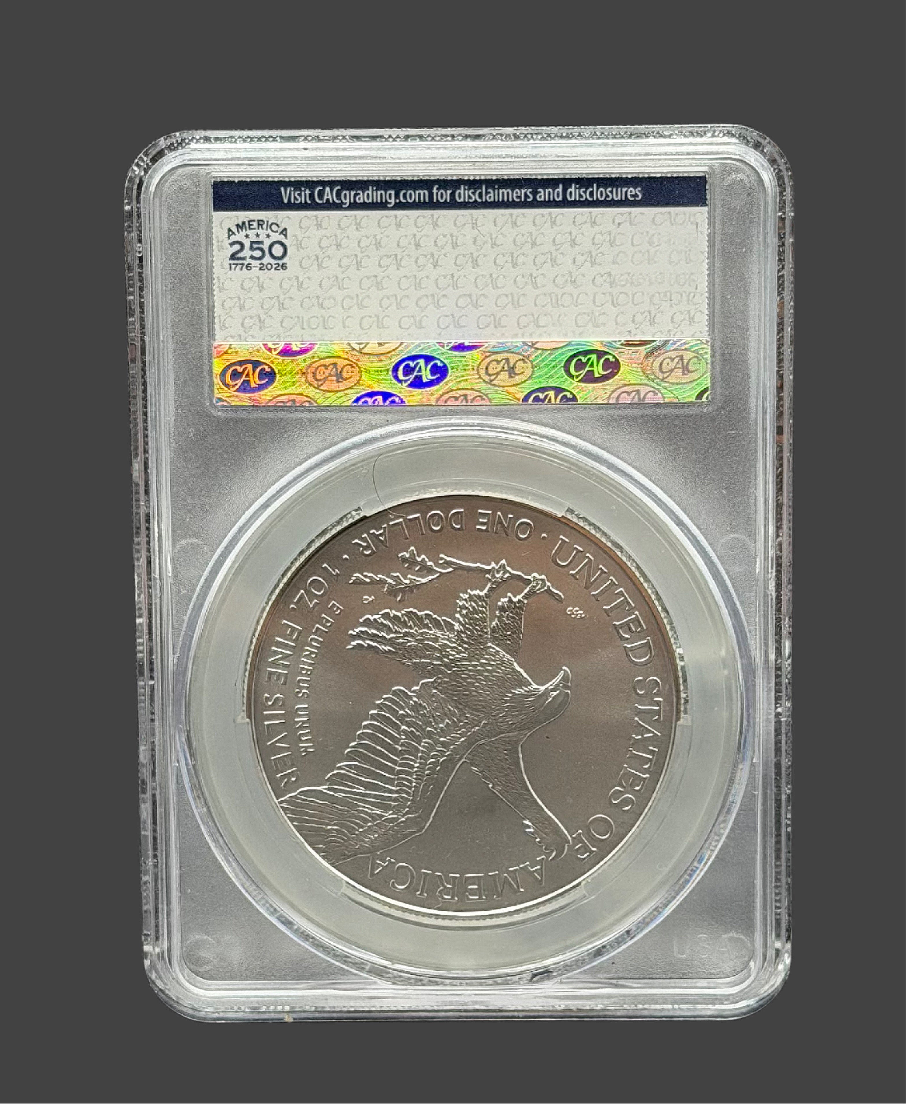 CAC MS70 Silver Eagle