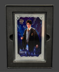5g AGORO Harry Potter artwork card ( Harry Potter)